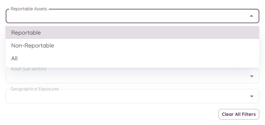 Flexible reportable vs non-reportable assets